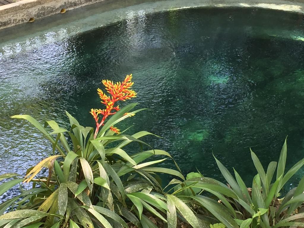 La Kuka Hotel - Nuquí المظهر الخارجي الصورة